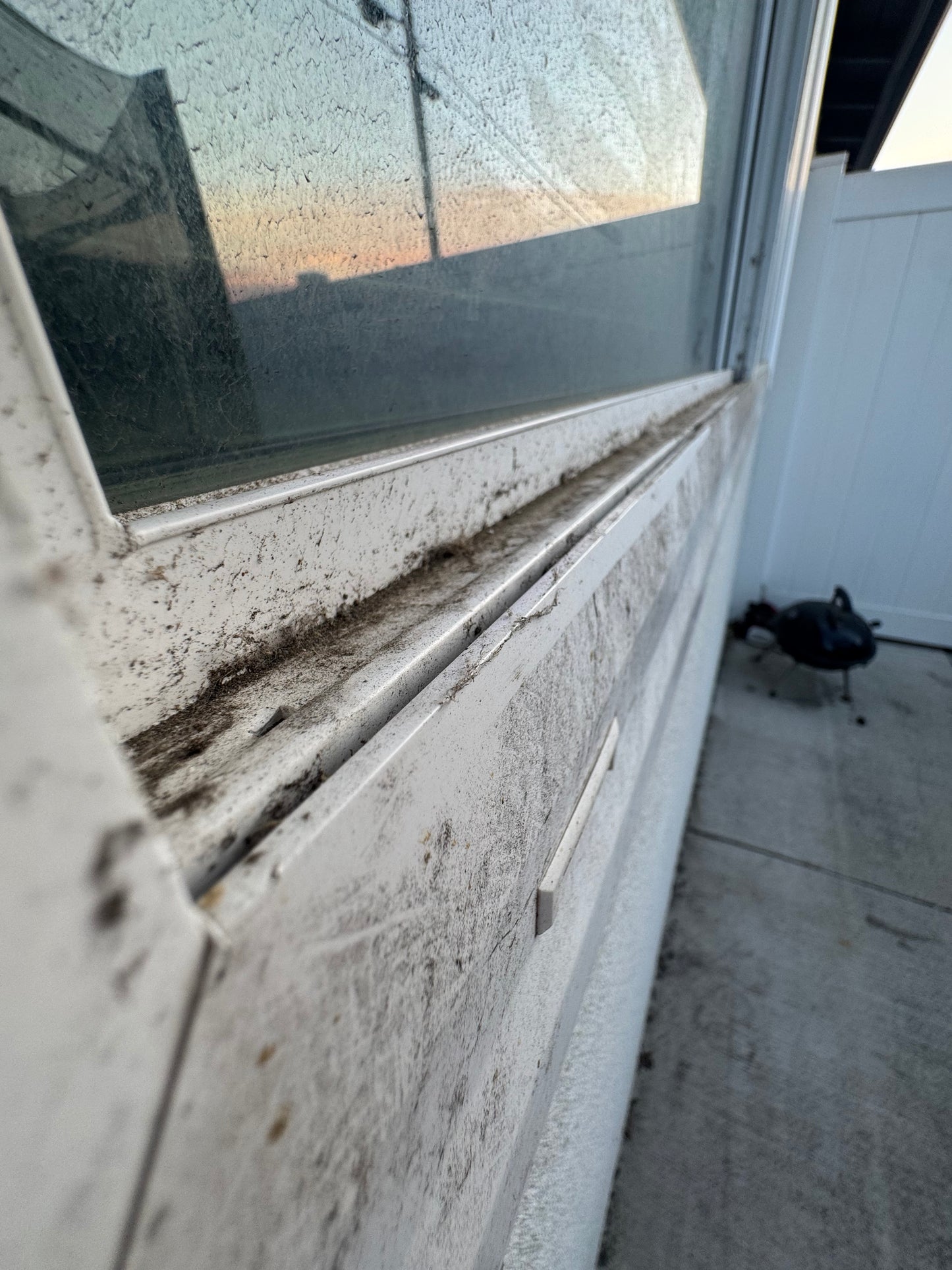 Window Cleaning/Washing