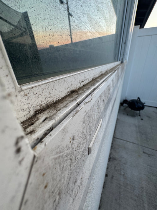 Window Cleaning/Washing