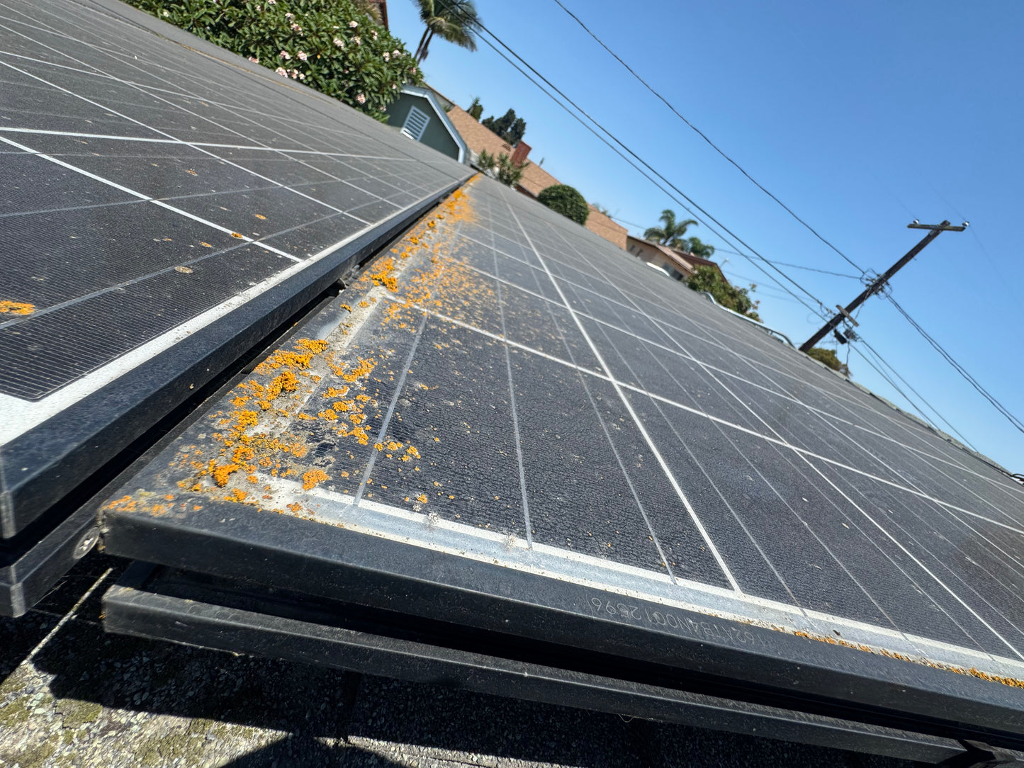 Solar Panel Cleaning
